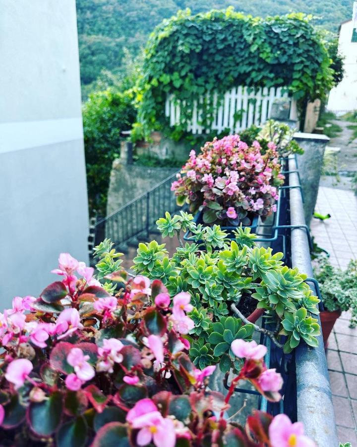 A Casa Mia Apartment Genua